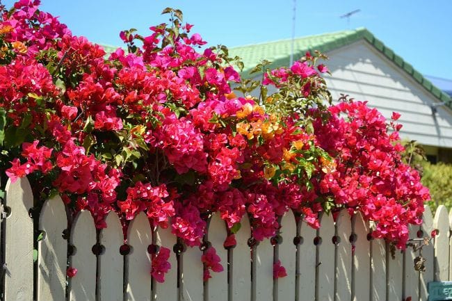 How to prepare for the Spring property season How to prepare for the Spring property season